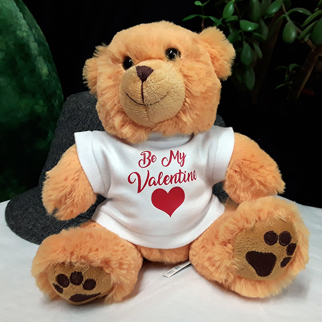 Be My Valentine Custom Printed Teddy Bear