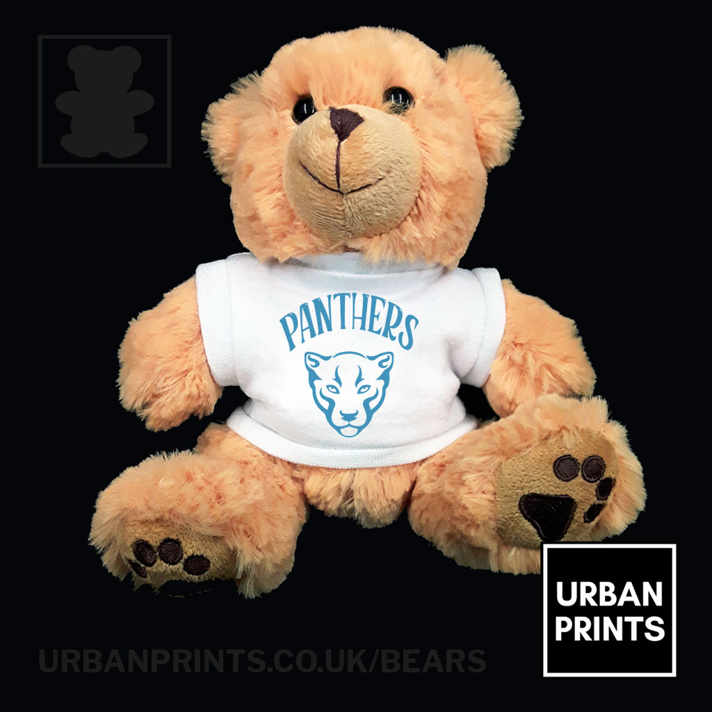 Focal Pointe Panthers Cheerdance Teddy