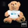 Focal Pointe Musical Theatre Teddy Bear